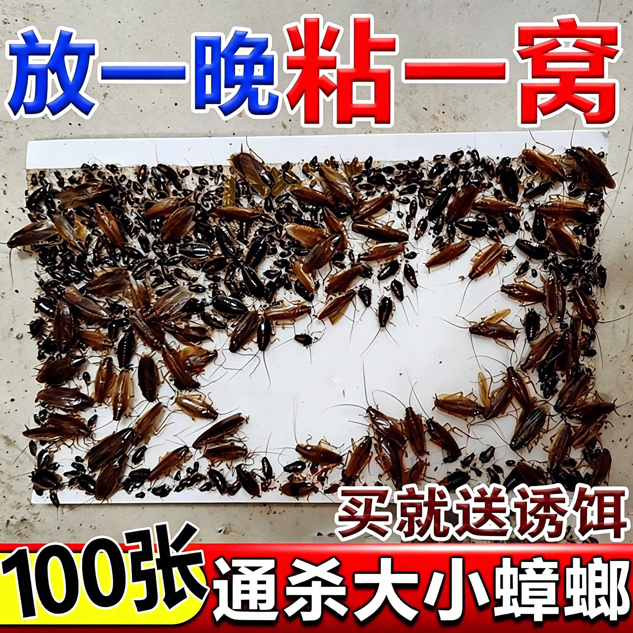 强力蟑螂粘板家用厨房