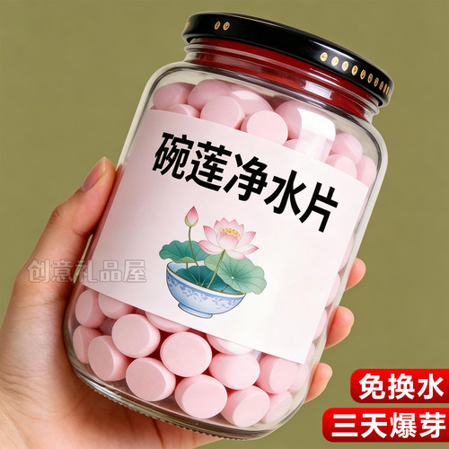2026新升级【碗莲净水片】