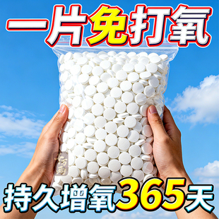 鱼缸无电制氧氧气片增氧颗粒养鱼鱼用无动力加充氧气泡石打氧神器