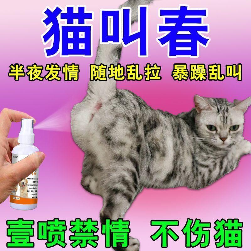 官方正品猫咪宠物禁情液
