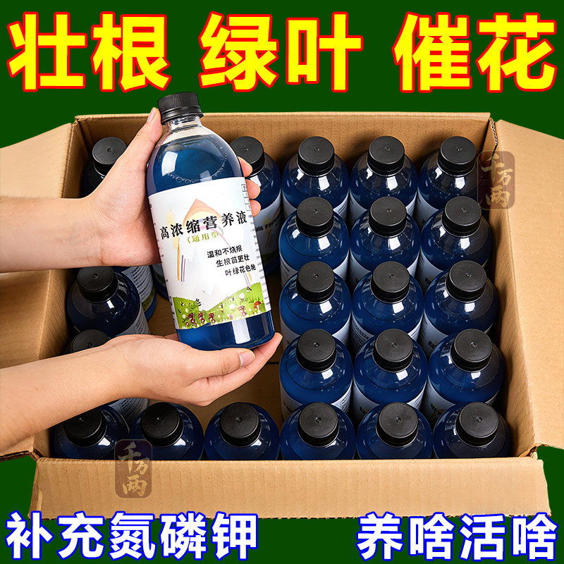 高浓缩营养液花卉植物通用型家用绿萝多肉富贵竹巴西木增根壮花草,鲜花速递/花卉仿真/绿植园艺,介质/营养土,淘宝优惠券,粉丝福利购,淘宝优惠卷