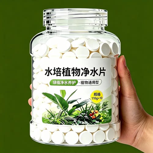 鲜花净水片保鲜不臭水通用碗莲