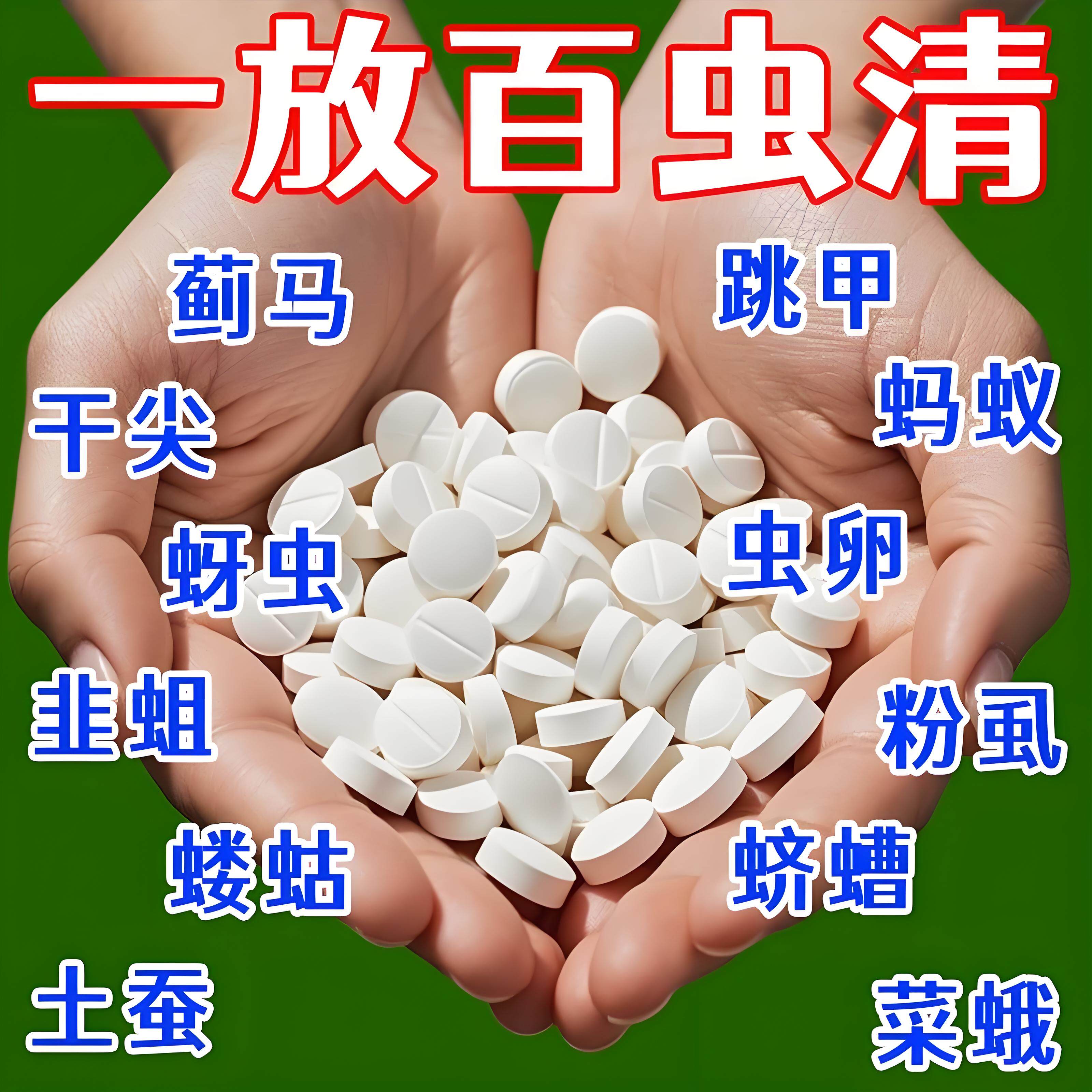 【一片全灭】百亩蔬菜地防虫片菜地花卉小黑飞白粉虱蚜虫菜蛾通杀