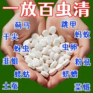 【一片全灭】百亩蔬菜地防虫片菜地花卉小黑飞白粉虱蚜虫菜蛾通杀