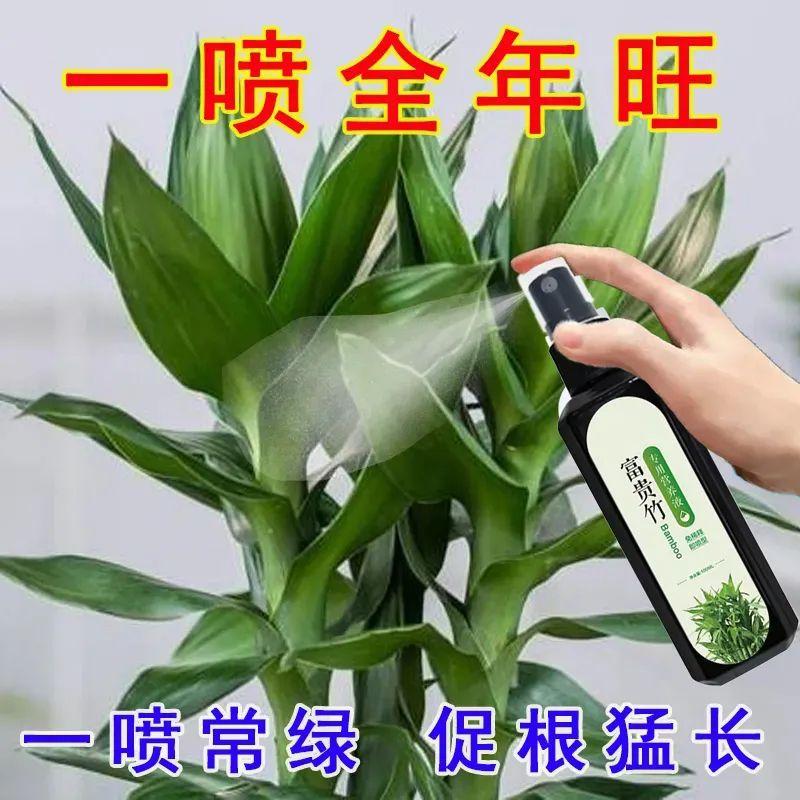 【黄叶急救】通用有机肥免稀释催绿叶富贵竹专用营养液四季翠绿