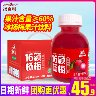 扬百利16颗杨梅汁果蔬汁果汁冰镇饮料杨梅汤酸梅汁235ml6瓶