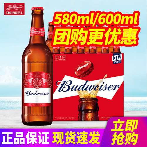 Budweiser/百威啤酒600ml*12瓶2箱整箱包邮玻璃瓶580ml原汁麦9.7P