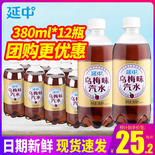 小瓶装 上海延中乌梅味汽水380ml 12瓶整箱 包邮 乌梅汁碳酸果味饮料