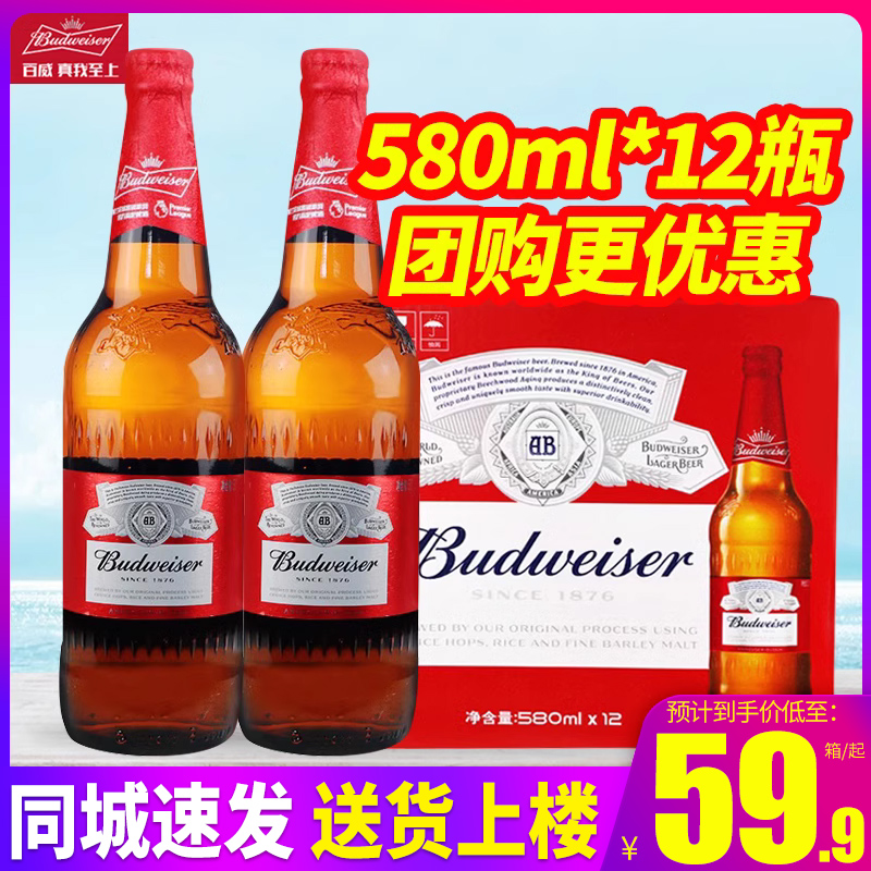 Budweiser/百威啤酒580ml*12瓶整箱玻璃瓶装原汁麦9.7°P 2箱包邮 酒类 啤酒 原图主图