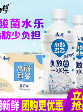 康师傅小酪多多330ml*6瓶