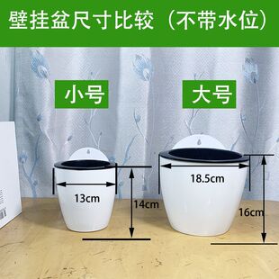 壁挂式花盆懒人盆挂墙花盆自吸水盆好养挂壁创意塑料花盆