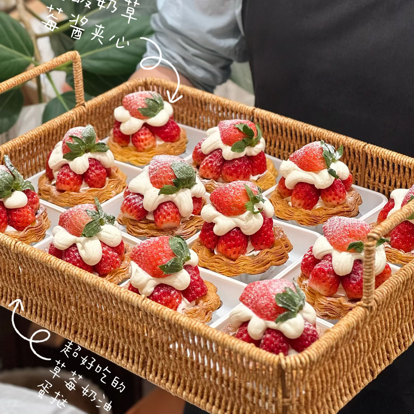 瑞莎草莓塔太阳花蛋挞盒子蛋糕花边可颂蛋挞包装盒透明一次性打包