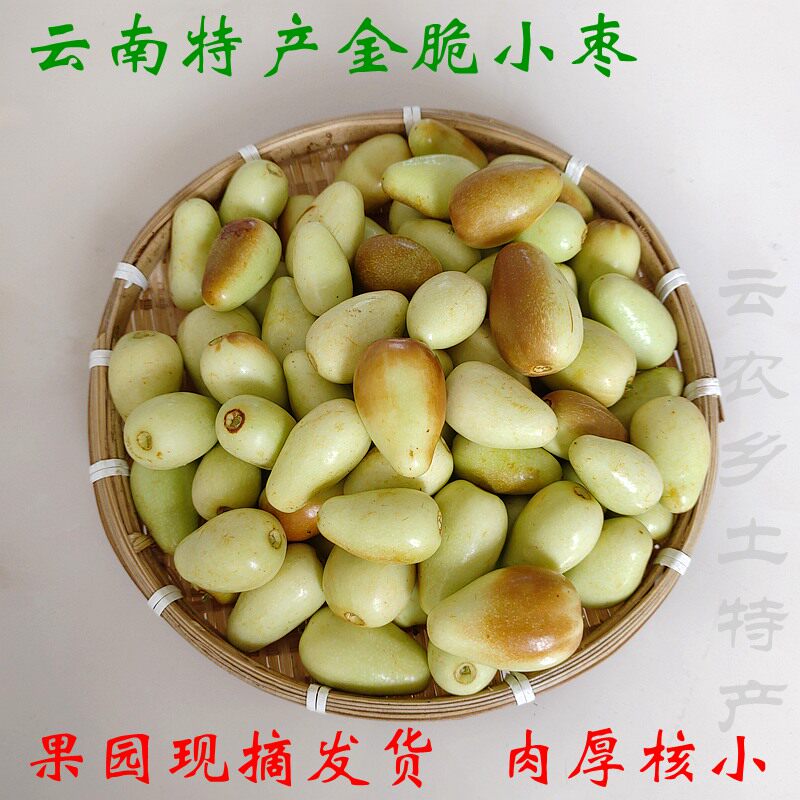 小枣新鲜 云南特产金脆枣现摘当季水果鸡心枣非 金丝小枣冬枣