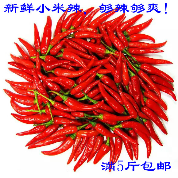 辣椒新鲜小米云南农产品