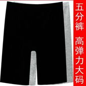 女 打底裤 4件价莫代尔200斤胖妹妹高腰五分安全裤 女士紧身胖mm大码