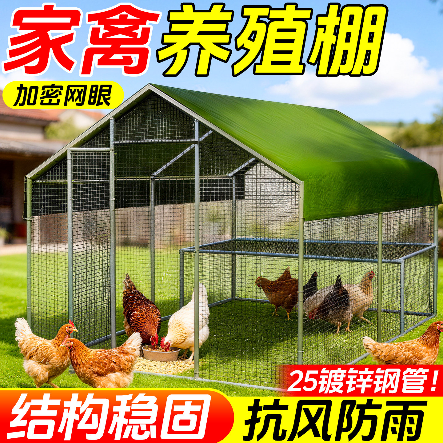 鸡笼子室外家用大号鸡棚搭建