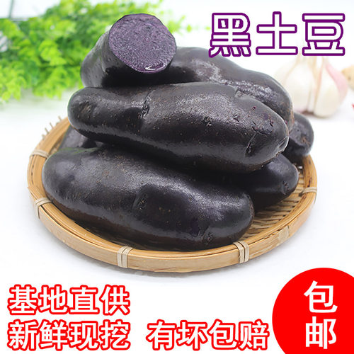 新鲜现挖黑土豆乌洋芋
