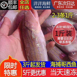 那哥鱼海捕海鱼那哥西一斤2到3条潮汕水产真空保鲜速冻发货