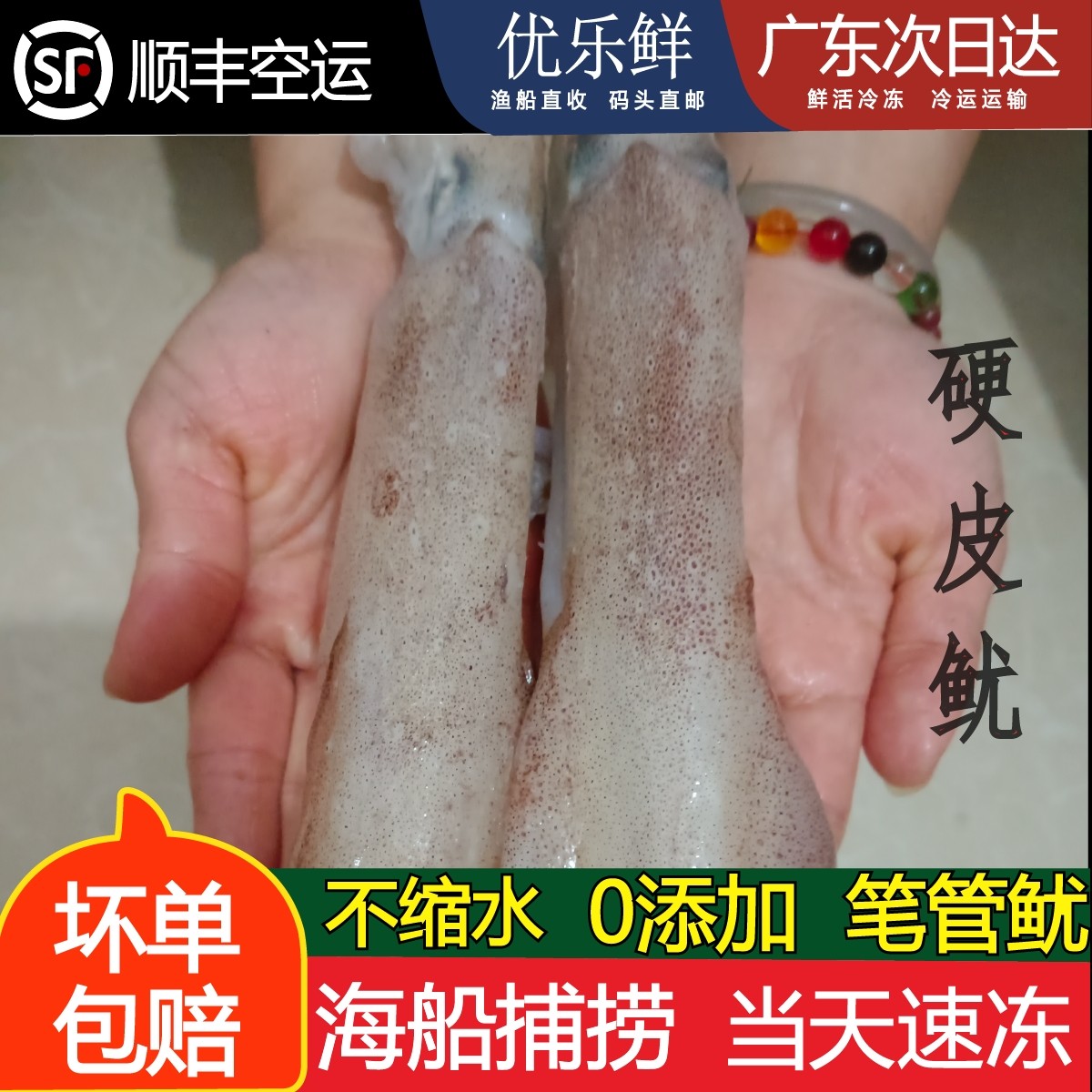 【优乐鲜】水产新鲜活笔管鱼海钓火箭筒小鱿鱼仔商用火锅海鲜水产