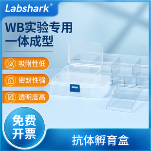 Labshark抗体孵育盒wb抗体孵育实验室用单格5格整膜双面