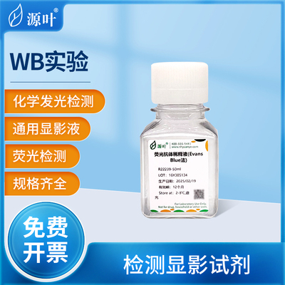 源叶特超敏ECL化学发光底物荧光抗体稀释液免疫血清防腐剂显影液