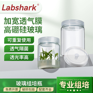 Labshark玻璃组培瓶育苗瓶实验室耐高温灭菌瓶组织培养瓶带透气盖