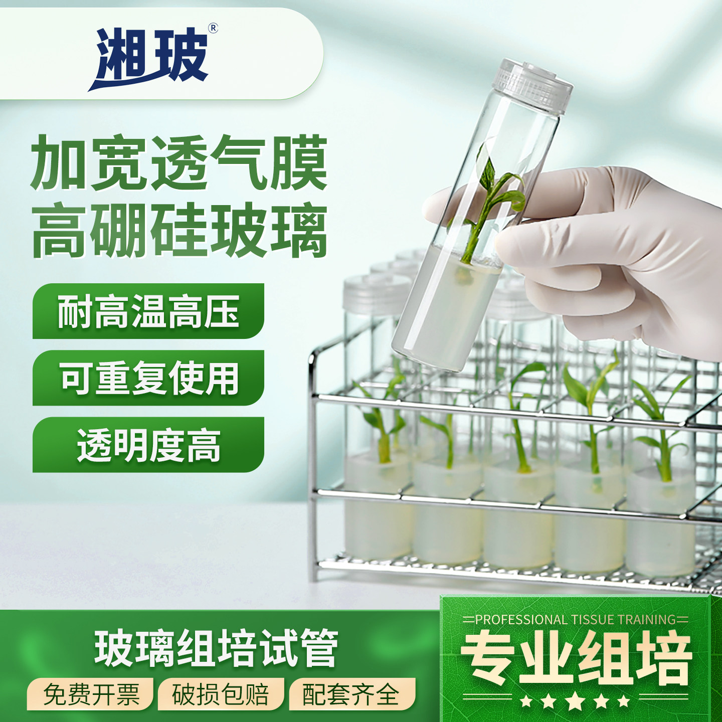 高硼硅玻璃组培试管实验用耐高温灭菌初代培养瓶子带透气盖培养管