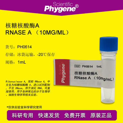 核糖核酸酶A 1mL RNase A 10mg/mL RNA酶 [PH0614 PHYGENE]