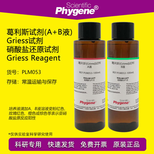 葛利斯试剂硝酸盐测定Phygene