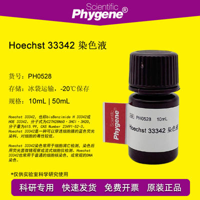 Hoechst 33342染色液 细胞核染色 10mL [PH0528 PHYGENE]