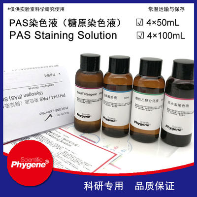 PAS染色液糖原染色液试剂盒雪夫染色 4×100mL [PH1144 PHYGENE]