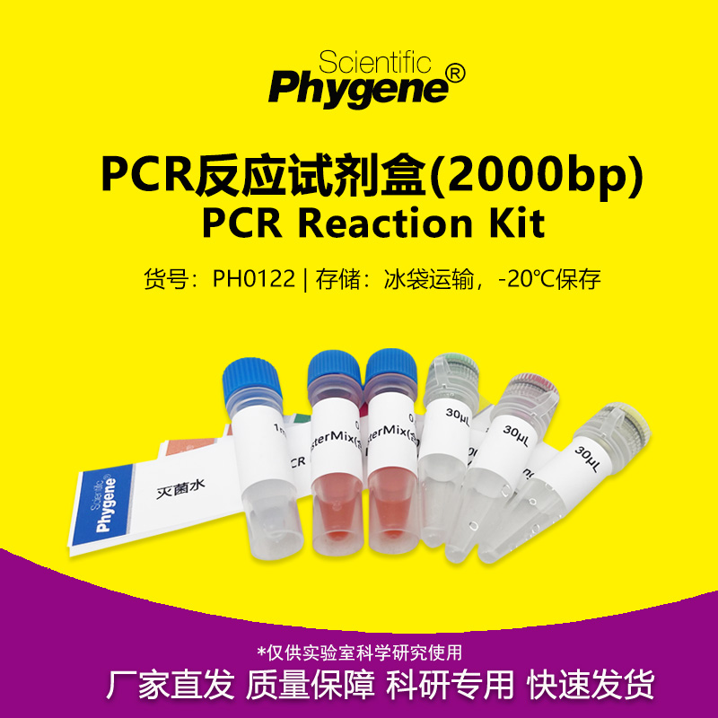 PCR反应试剂盒(2000bp)科研专用