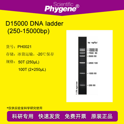 DNA Marker DNA ladder (250-15000bp) 100T [PH0021 PHYGENE]