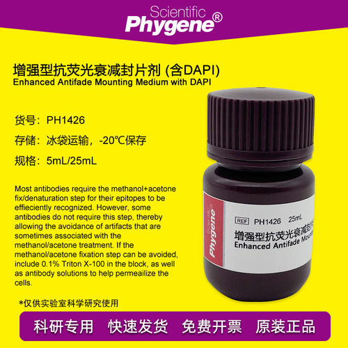 增强型抗荧光衰减封片剂Phygene