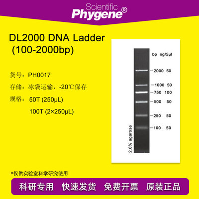 PH0017 DL2000 DNA Ladder 100-2000bp 100T PHYGENE