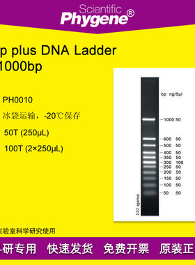 50bp plus 50-1000 DNA Ladder DNA Marker 100T PH0010 PHYGENE