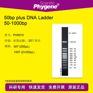 50bp plus 50-1000 DNA Ladder DNA Marker 100T PH0010 PHYGENE