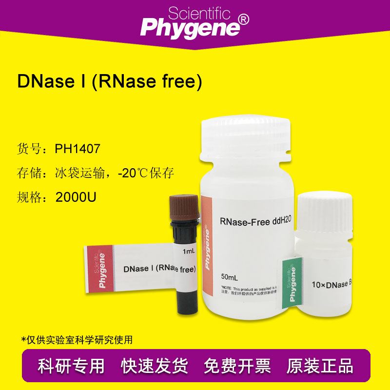 脱氧核糖核酸酶I DNase I 2000U RNA实验 PH1407飞净/PHYGENE