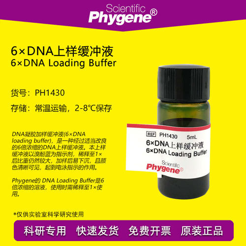 6×DNA上样缓冲液DNA电泳Phygene