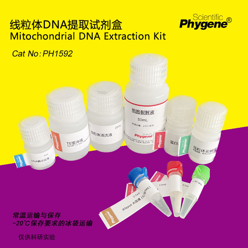 线粒体DNA提取试剂盒 科研实验专用 50T/100T [PH1592 PHYGENE]
