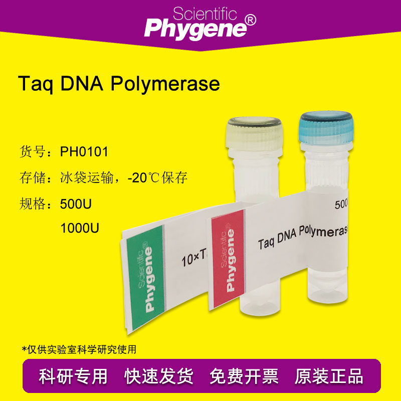 PhyScript™ Taq DNA聚合酶科研实验 1000U[PH0101 PHYGENE]