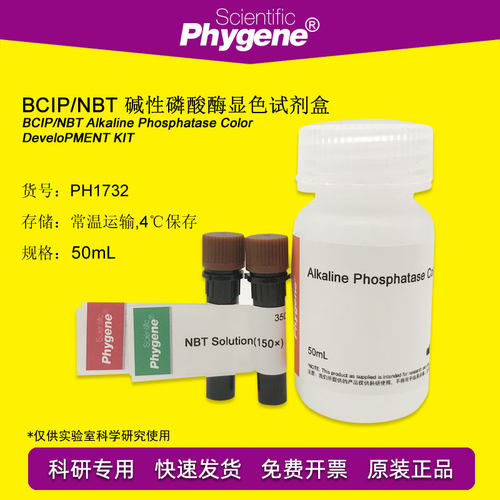 PH1732 BCIP/NBT碱性磷酸酶显色试剂盒 科研实验 PHYGENE