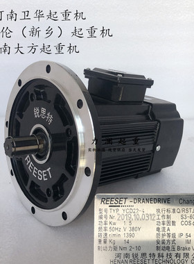 河南锐思特电机YCD21-4 0.8KW 纽科伦卫华行车前后运行软起动电机