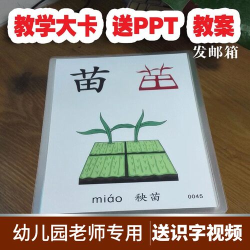 教学识字卡片象形宝宝幼儿园启蒙