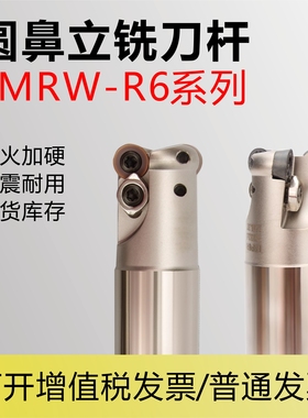 EMRW-6R圆鼻立铣刀杆25-200-C25-2T装R6刀片加长单刃双刃三刃现货