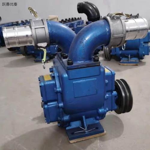 抽粪泵养殖场可以抽水浇地灌溉三相沼气池泵化粪池强力吸粪泵