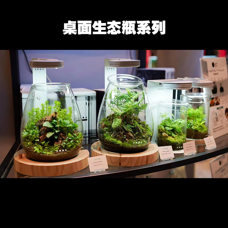桌面装饰生态瓶青苔苔藓微景观绿植物盆栽鲜活创意微景观小盆景桌