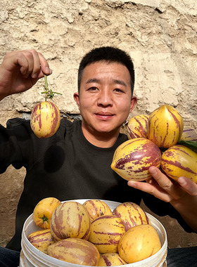 甘肃人参果大果3斤小果包邮民勤黄肉人生果长果圆果新鲜水果