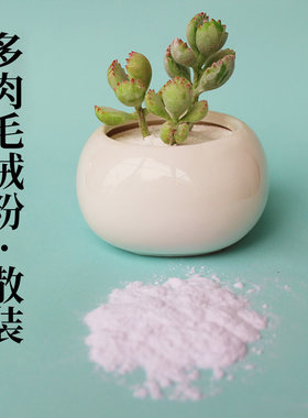 树脂粘土软陶泥仿真多肉毛绒粉 仿真植物白色毛绒粉效果散装一斤