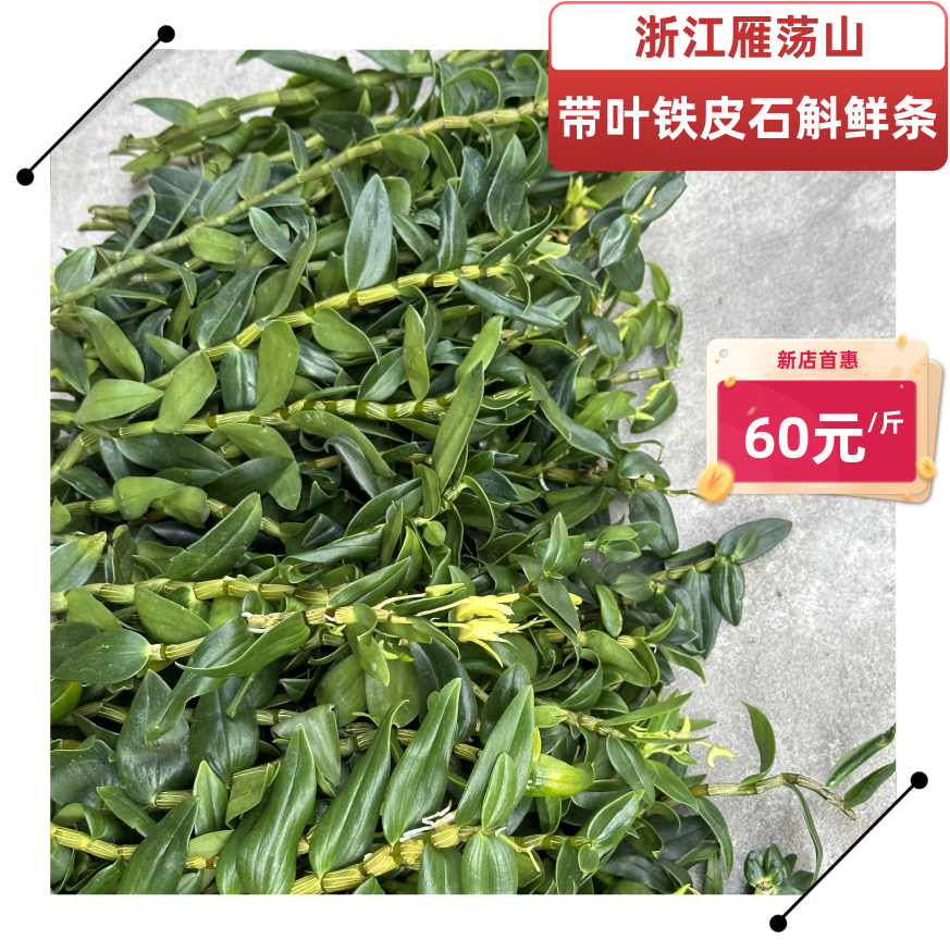 滋补养生中药材滋新鲜带叶铁皮石斛青杆鲜条酒店冷菜榨汁碧绿煲汤